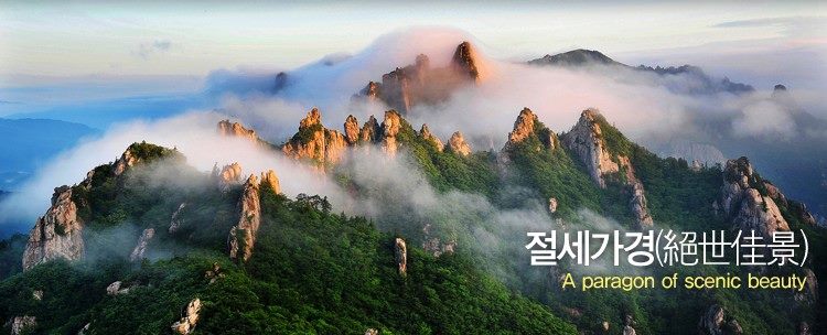 10151280_10202757009120118_6496968936521353252_n