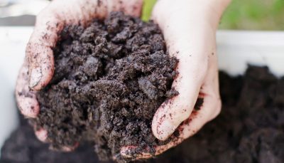 soil-400x229